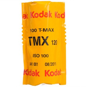 Kodak T-Max 100 Pro B&W 120 Single Roll